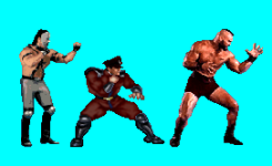 Bison test.png