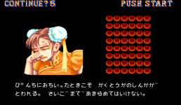 sf2j0029.png