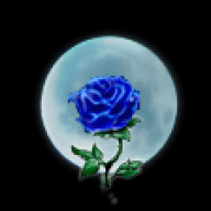 Moonlight_Rose