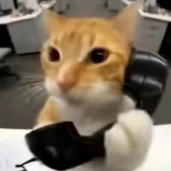sallysirl