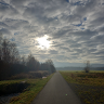 Larry TM