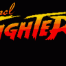 Final Fighter (work in progress)